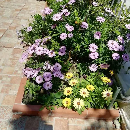דירה Meli's House By Alp Hospitality Services