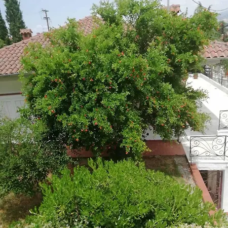 Meli's House By Alp Hospitality Services דירה *