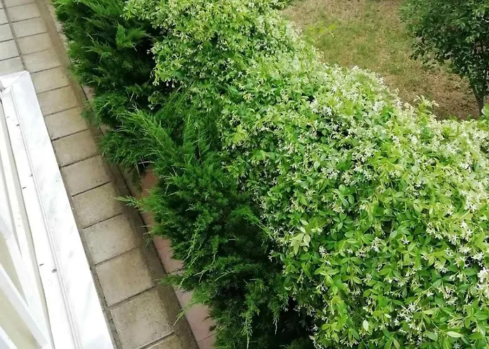 Meli's House By Alp Hospitality Services