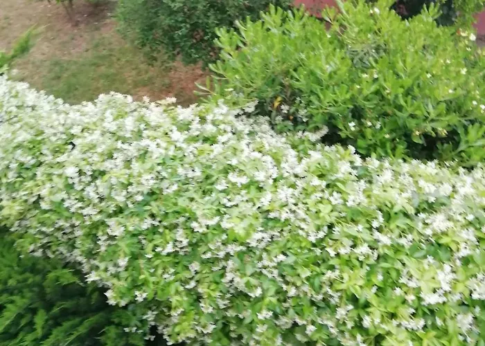 Meli's House By Alp Hospitality Services